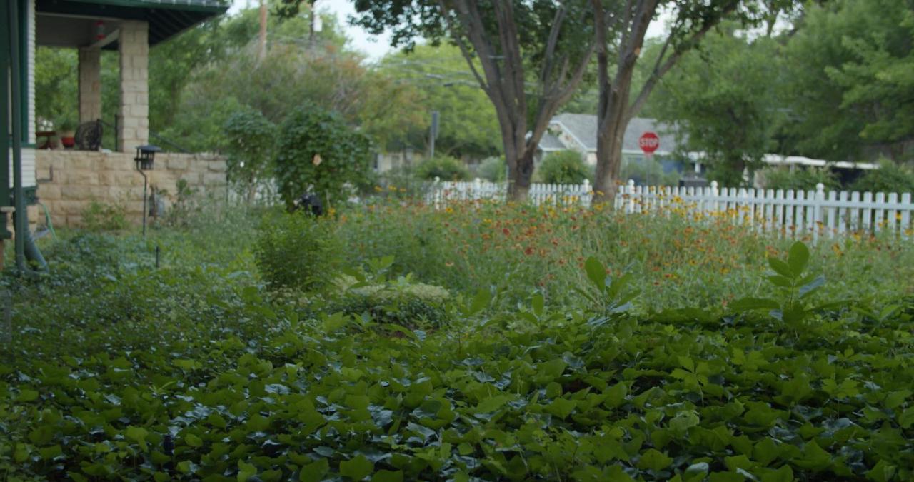 Granbury Gardens Bed And Breakfast 외부 사진