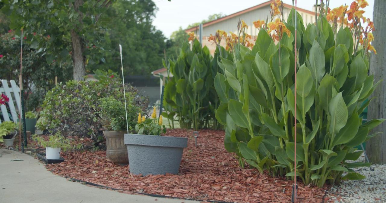 Granbury Gardens Bed And Breakfast 외부 사진